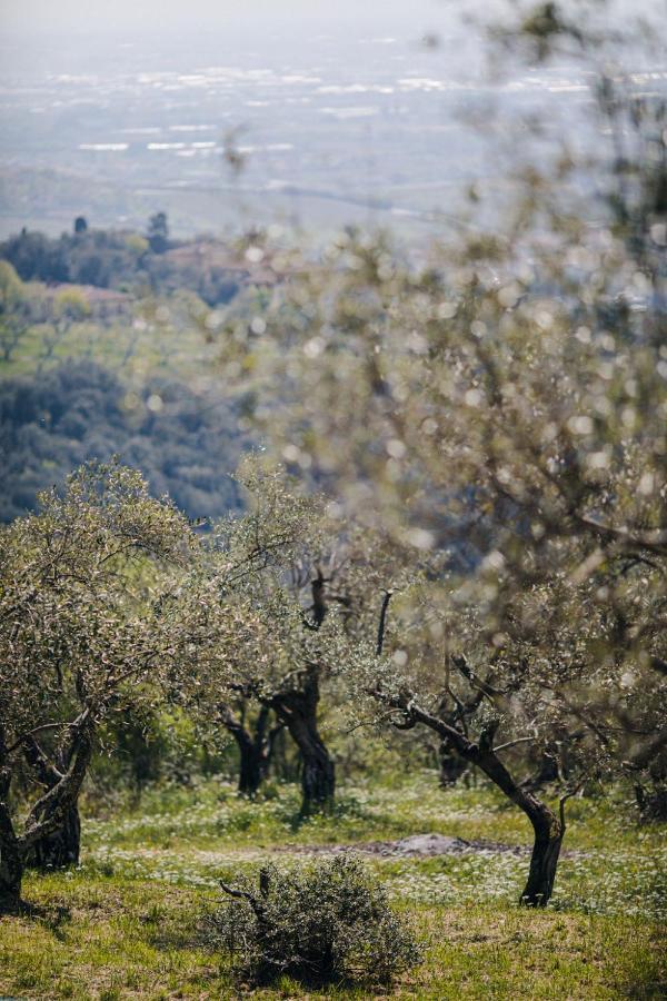 Villa Desiderio Tuscany Pistoia Kültér fotó
