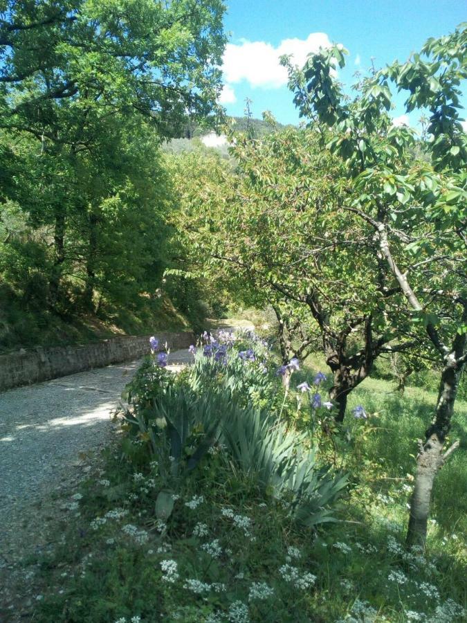Villa Desiderio Tuscany Pistoia Kültér fotó